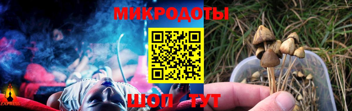 Псилоцибиновые грибы Psilocybine cubensis Тобольск